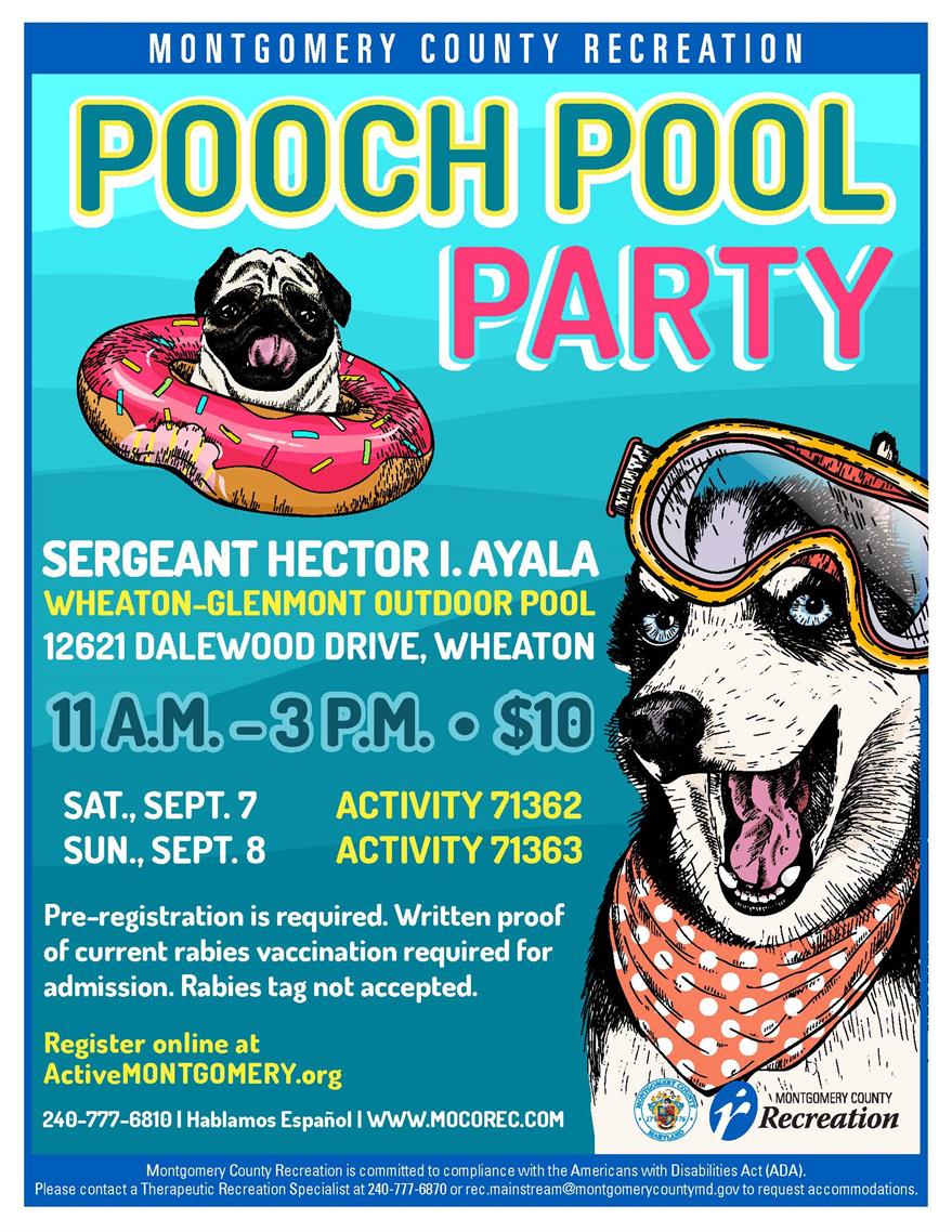 Pooch Pool Party