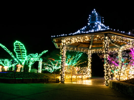 Brookside Gardens Christmas Lights 2022 Tickets Go On Sale Tuesday For Garden Of Lights Holiday Display -  Montgomery Community Media