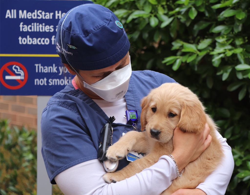 Why is Jackson Holliday funding pet therapy? Why is Jackson Holliday funding pet therapy?