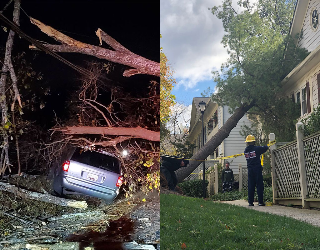 Severe Winds Cause Damage Throughout Montgomery County - Montgomery  Community Media