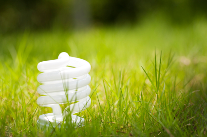 Image of energy saving lightbulb in grass