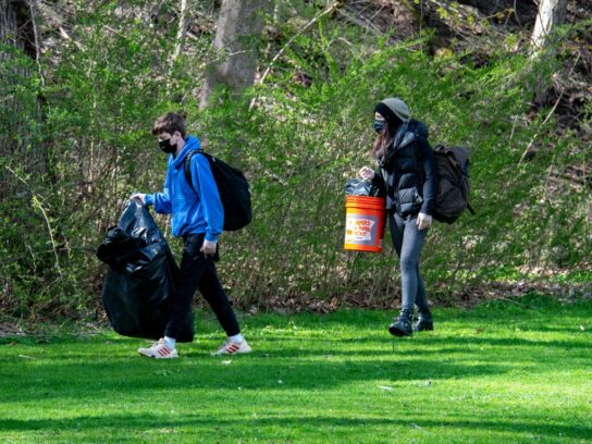 photo of cleanup in park