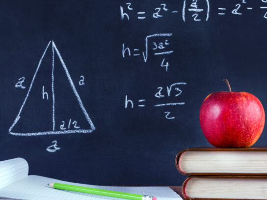 photo of apple on book and green wooden pen on opened notebook on desk picture