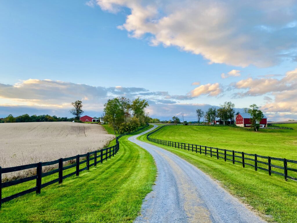 photo of Majestic Maryland by Charles Freedman