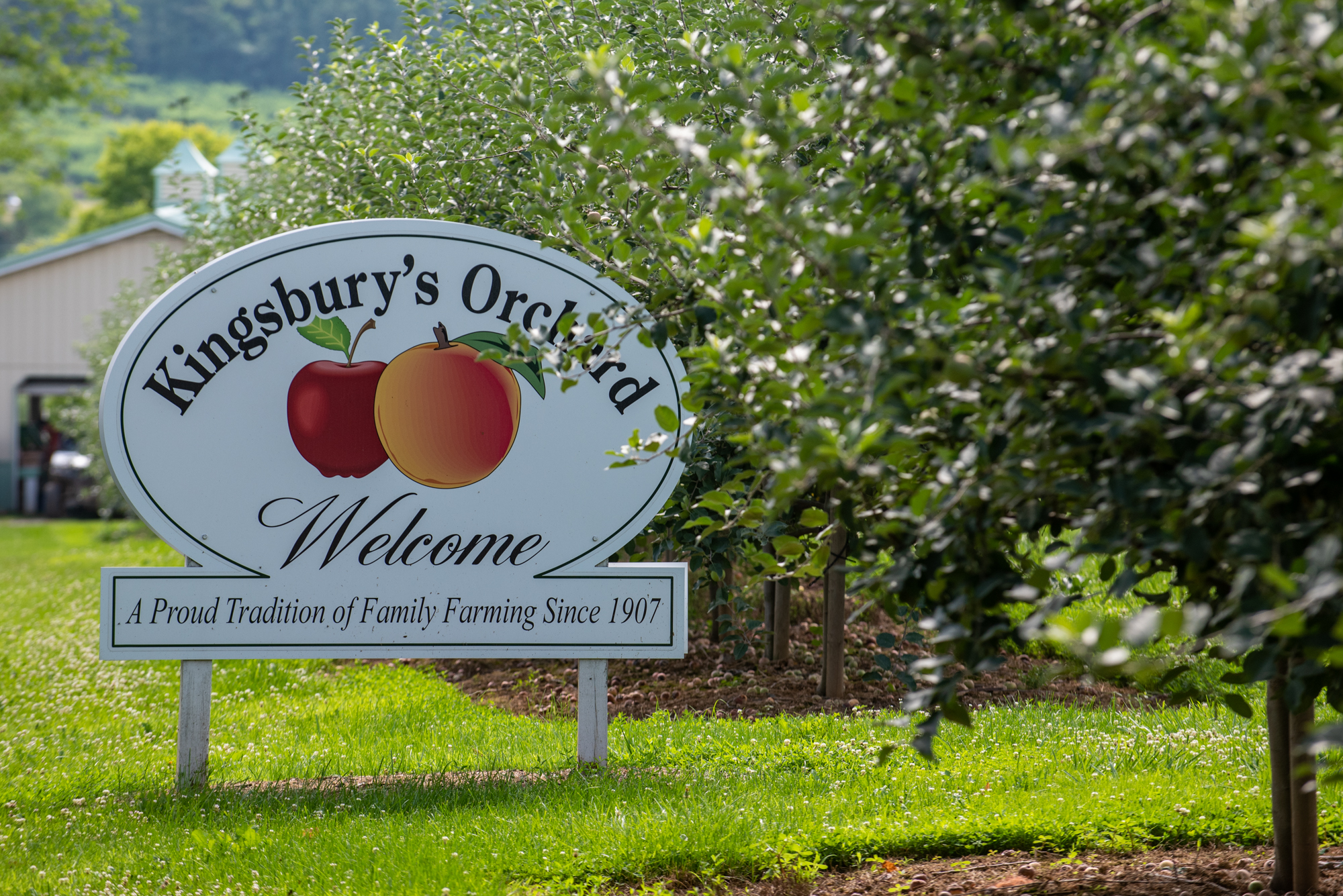 Kingsbury Orchard Sign