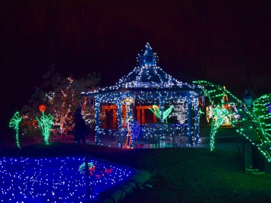 photo of light display at Brookside Gardens