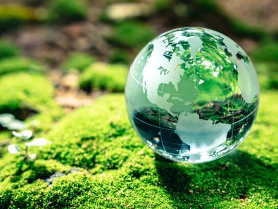 crystal globe on moss for earth day
