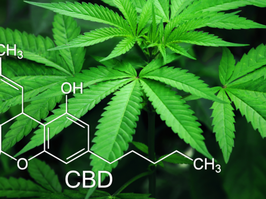 photo of cannabis or marijuana plant with chemical formula