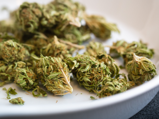 photo of dried cannabis or marijuana in bowl