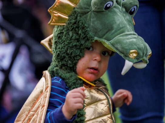 photo of toddler in costume