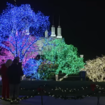 Festival of Lights