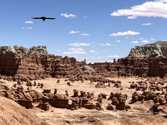 Utah&rsquo;s Greatest Parks Part 1 - Montgomery Community Media